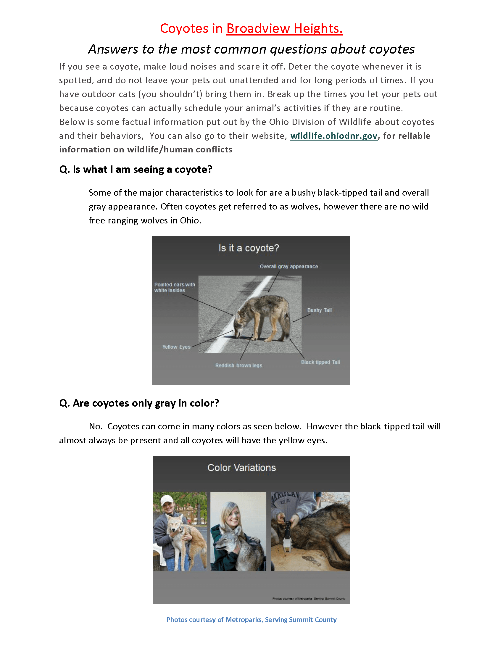 Coyotes in Broadview Heights_Page_1