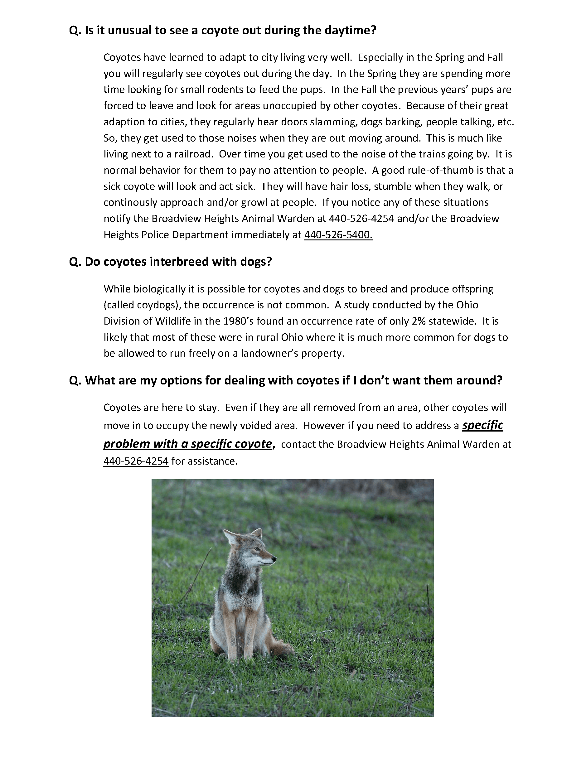 Coyotes in Broadview Heights_Page_5